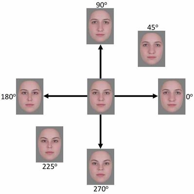 Contrast Adaptation in Face Perception Revealed Through EEG and Behavior